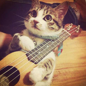 国产小视频福利
