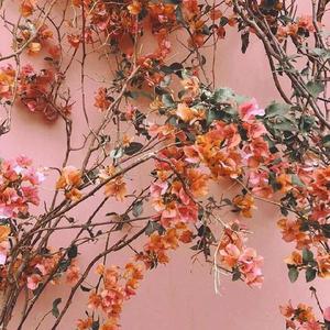 国产小视频福利
